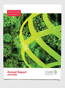 Design & art direction for CNSB annual report at Boston University for Research Outreach by Nick McKay, cover