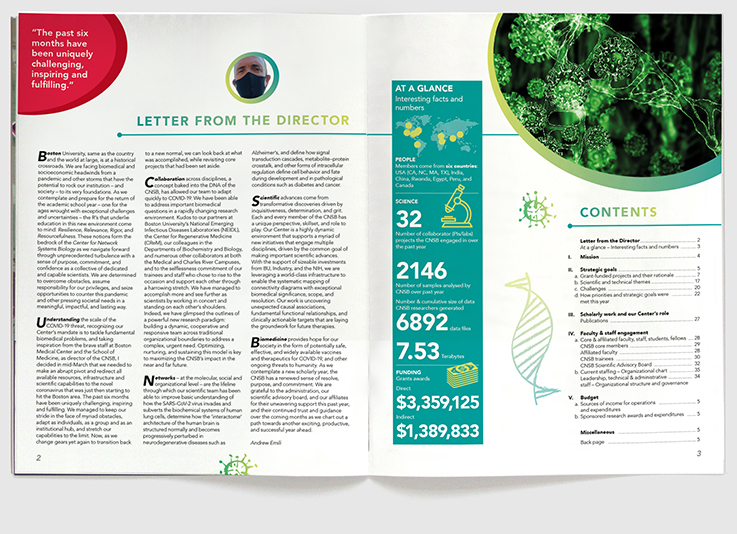 Design & art direction for CNSB annual report at Boston University for Research Outreach by Nick McKay, spread