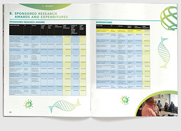 Design & art direction for CNSB annual report at Boston University for Research Outreach by Nick McKay, spread