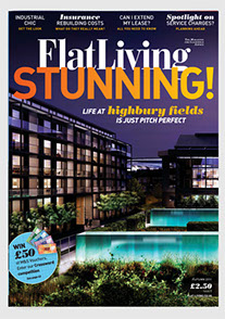 Redesign of Flat Living magazine by Nick McKay. Cover