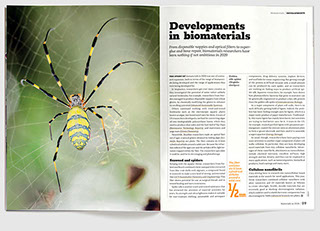 Design & art direction of annual magazine, Materials in 2020 by Nick McKay. Biomaterials