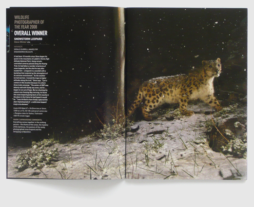 Design for BBC Wildlife magazine supplement by Nick McKay, second inside spread